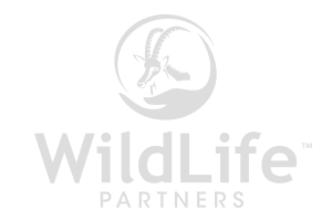 WildLife Partners, LLC