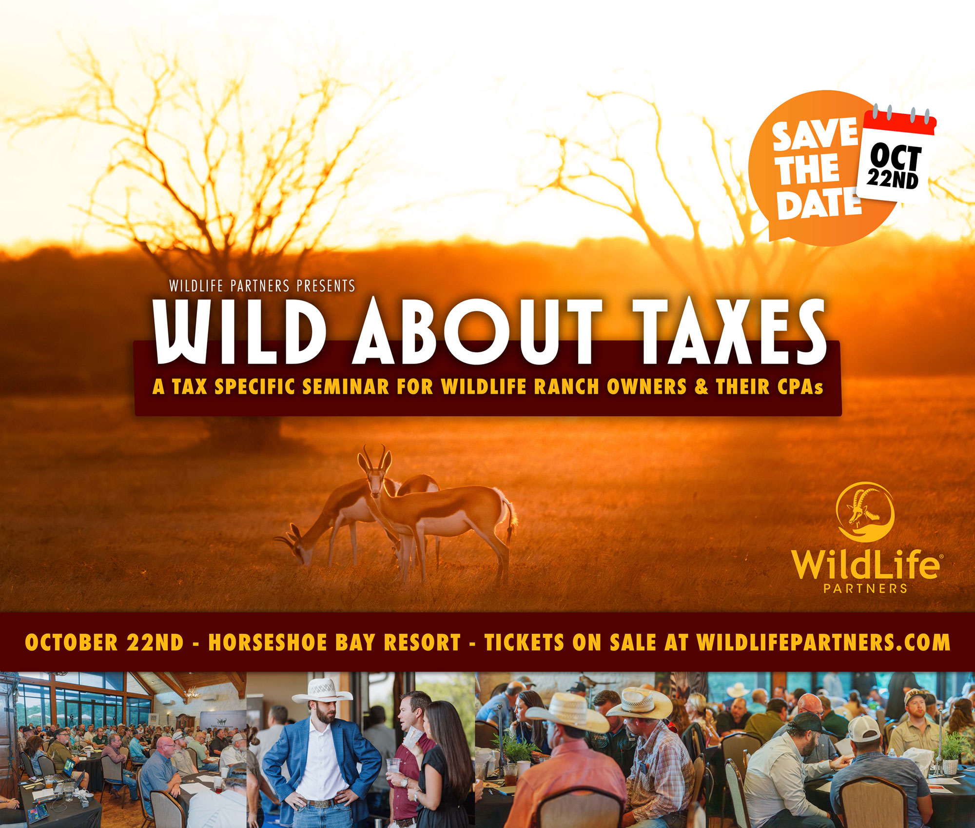 Wild About Taxes